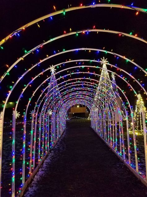 Christmas Light Arches Driveway, Christmas Light Walkway, Christmas Lights Walkway, Christmas Park Decorations, Christmas Light Displays Outdoor, Classy Outdoor Christmas Lights, Christmas Light Arch, Cool Christmas Lights, Christmas Lights Show