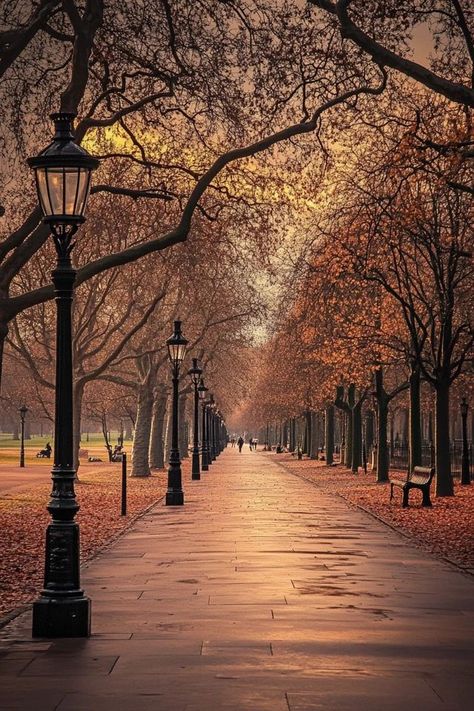 "🌿🇬🇧 Unwind in Hyde Park, London’s majestic green space! Enjoy serene walks, picturesque lakes, and historic landmarks in one of the city’s largest parks. 🌳🚲 #HydePark #London #ParkLife" Paradise Hotel, Hyde Park London, Autumn Park, Hyde Park, Green Space, Walkway, London England, The City, Paradise