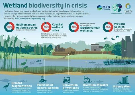 Extreme Weather Events, Boreal Forest, Storm Surge, Natural Ecosystem, Sea Level Rise, Climate Crisis, Landscape Architecture Design, Human Activity, Sea Level