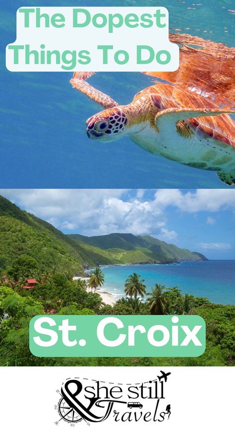 St. Croix turtle and ocean view Us Virgin Islands Vacation, St Croix Virgin Islands, Virgin Islands Vacation, St Croix Usvi, St Thomas Usvi, East Coast Usa, North America Travel Destinations, Cruise Planning, St. Croix