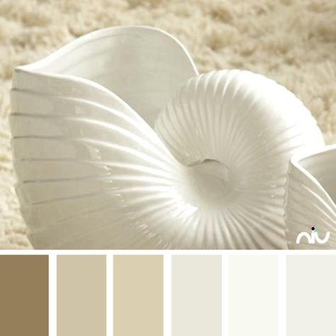 Shell Color Palette Abalone Shell Color Palette, Sea Shell Color Palette, Seashell Color Palette, Shell Colour Palette, Shell Color Palette, Chic Coastal Decor, Gradient Palette, Easy Decor Ideas, Color Thesaurus