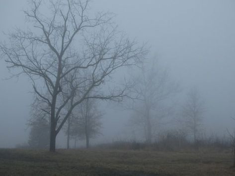 Duster Aesthetic, Dark Academia, Drawings, Nature