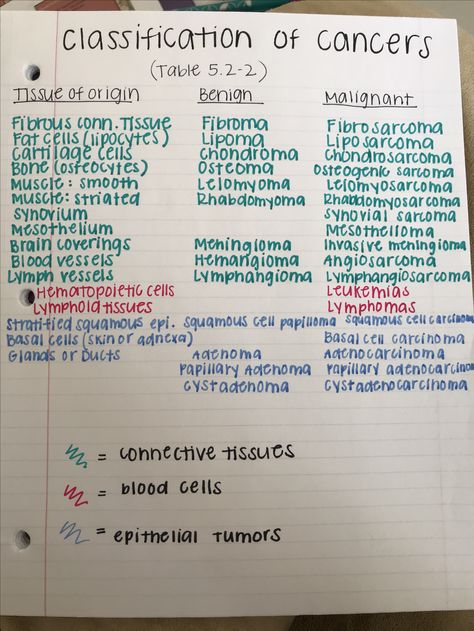 Classification of cancers and tumors patho physiology#physiological #humanphysiology #physiology #anatomyandphysiology Chemo Nursing Notes, Oncology Nursing Notes, Crimology Student, Pathophysiology Notes, Memes Nursing, Surgical Oncology, Pediatric Oncology Nurse, Veterinary Oncology, Nursing Pictures