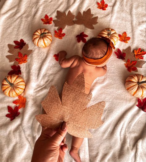 Pumpkins fall 
Baby 
Photoshoot
Three months November Month Baby Photos, Thanksgiving 1 Month Pictures, Autumn Newborn Photoshoot, Thanksgiving Baby Photos, Thanksgiving Photoshoot Baby, November Baby Photoshoot, Fall Infant Photoshoot, Thanksgiving Baby Photoshoot, Campfire Photoshoot