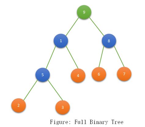 Types of Binary Tree Binary Tree, Data Structures, Filing System, Manners