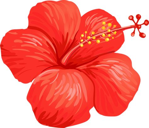 Tropical hibiscus flower vector Festivals Illustration, Hibiscus Vector, Hibiscus Flower Illustration, Hari Gawai, Hibiscus Illustration, Hibiscus Drawing, Raya Haji, Pink Drawing, Hawaii Flowers