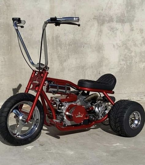 Mini Trike, Drift Trike Frame, Custom Mini Bike, Bicycle Engine, Trike Bicycle, Custom Trikes, Diy Go Kart, Мотоциклы Cafe Racers, Tricycle Bike