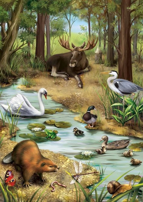 «Animals in the Forest» is an interactive  ebook for children. Pressing on each animal tells you what it is. Animals And Birds, Image Nature, Forest Illustration, Wildlife Paintings, Arte Animal, Wildlife Animals, Wildlife Art, Forest Animals, Animal Illustration