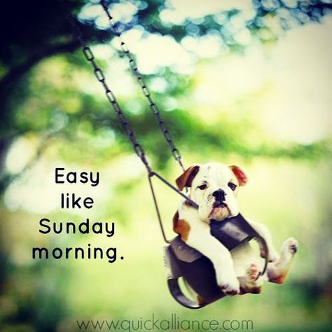 Enjoy your Sunday! #sunday #morning #blessed #love #bestoftheday #instagood #follow #picoftheday #happy #photooftheday #likes #igers #instadaily Sunday Morning Memes, Sunday Meme, Sunday Humor, Sunday Morning Quotes, Sunday Quotes Funny, Quotes Dream, Morning Memes, Good Day Sunshine, Weekend Quotes