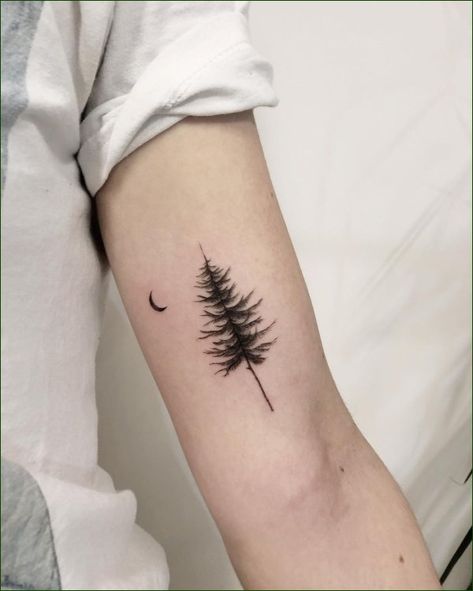 Tree Silhouette Tattoo, Pine Tree Tattoo, Small Tats, Tree Tattoo Designs, Silhouette Tattoos, Tree Silhouette, Tree Tattoo, Pine Tree, Tattoo Art