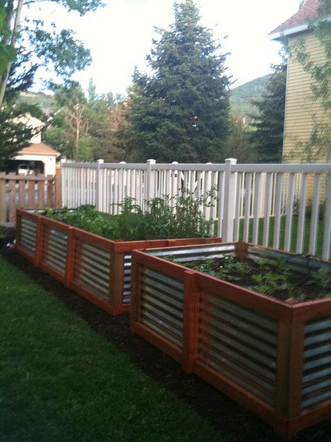 I really want to do beds like this.   But they may use a lot of dirt...perhaps fill the bottom with rock? Garden Plots, Diy Raised Garden, Plants Growing, Raised Garden Beds Diy, Raised Bed, Ideas Garden, Garden Boxes, Free Range, Veggie Garden