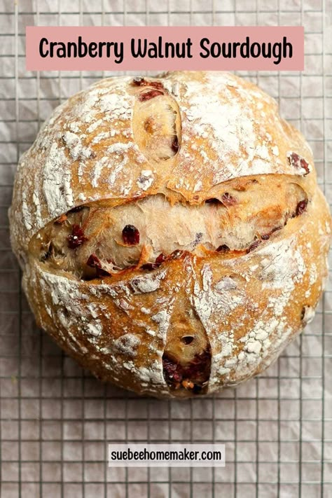 Cranberry Orange Artisan Bread, Cranberry Orange Bread Sourdough, Cranberry Walnut Sourdough Bread Recipe, Sourdough Discard Cranberry Orange Bread, Sourdough Orange Cranberry Bread, Sourdough Cranberry Orange Bread, Fruit Sourdough Bread, Orange Cranberry Sourdough Bread, Sourdough Cranberry Bread