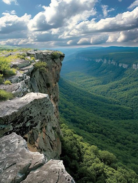 Blue Ridge Mountains in Virginia! Appalachian Mountains, World Pictures, Blue Ridge Mountains, Nature Aesthetic, Blue Ridge, Nature Travel, The View, Amazing Nature, Nature Pictures