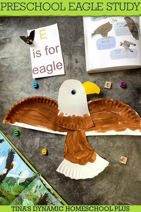 Letter E Is For Eagle Easy Preschool Eagle Study. E is for eagle, and you can take this high-flying preschool letter E unit in several different directions. Also, I have more alphabet letter fun on my page How to Homeschool Preschool. You can focus just on eagles, cover birds of prey, and talk about the eagle as a symbol of America, or birds in general. These amazing birds deserve a special unit study, and they work out perfectly when you are focusing on the letter E. E Is For Eagle Craft, Eagle Craft For Preschoolers, Letter E Science Preschool, Eagle Activities For Preschool, Letter E Activities For Preschool, E Is For Eagle, Letter E Crafts, Preschool Birds, Letter E Activities