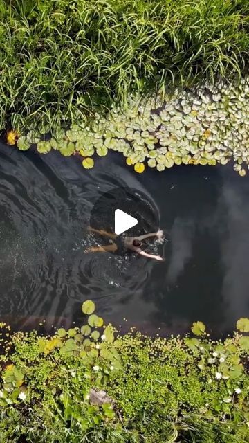 60 Second Docs on Instagram: "Are eco-friendly pond pools the future of swimming? David Butler of Norfolk @organicpools , England designs, builds, and teaches people to make their own DIY organic pools. The author of Natural Swimming Pools invented a sustainable swimming pond – a hybrid between a pond and a pool that’s safe to swim in (and drink from). Using only circulating water and no chemicals, Butler’s eco-pools are animal friendly, low-energy, and all natural. #sustainable #ponds #organic #ecofriendly #pondpools #swimming #swimmingpool" Natural Pond Landscaping, Natural Style Swimming Pool, Natural Pools Backyard Swimming Ponds, Natural Man Made Pool, How To Make A Natural Swimming Pool, Eco Pools Natural Swimming Ponds, How To Build A Natural Swimming Pond, Indoor Pond, Diy Water Feature