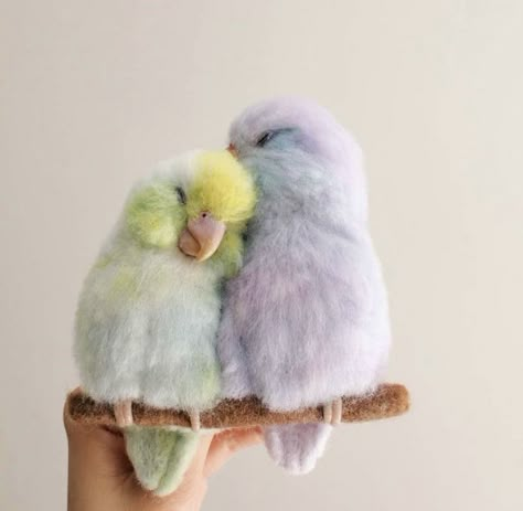 Fancy Birds, Love Birds Pet, Birds Pet, Cute Small Animals, Parakeets, Pretty Animals, Pretty Birds, Cute Little Things, Cute Animal Photos