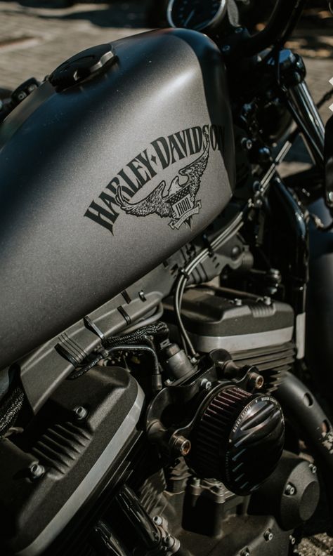 Bikeriders Aesthetic, Harley Davidson Aesthetic, Harley Aesthetic, Wallpaper Motorcycle, Motor Aesthetic, Moto Aesthetic, Aesthetic Motorcycle, Motor Harley Davidson, Moto Harley Davidson