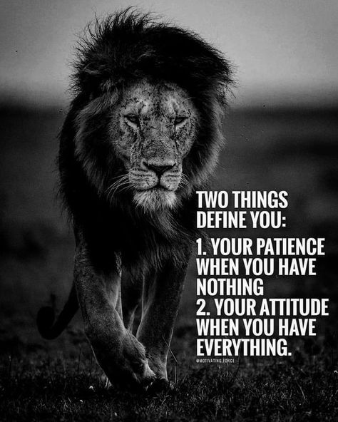 TWO THINGS DEFINE YOU: 1. YOUR PATIENGE WHEN YOU HAVE NOTHING 2. YOUR ATTITUDE WHEN YOU HAVE EVERYTHING. – popular America’s best pics and videos on the site https://americasbestpics.com Two Things Define You, Leo Quotes, Lion Quotes, Daily Quotes Positive, Gary Vaynerchuk, Life Journey, Warrior Quotes, Best Motivational Quotes, A Lion