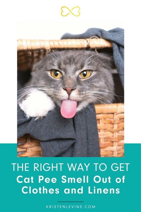 Pee Smell Out Of Clothes, Cat Pee Smell Removal, Skunk Smell, Cat Pee Smell, Pee Stains, Cat Urine Smells, Cat Health Problems, Pee Smell, Word Cat