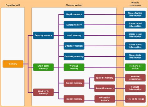 Memory Psychology, Repressed Memories, Episodic Memory, Memory Words, Human Memory, Psychology Student, Working Memory, Group Ideas, Psych