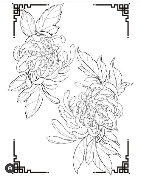 Crisantemo Tattoo, Minimalist Tattoo Ideas, Japanese Flower Tattoo, Chrysanthemum Tattoo, Flower Tattoo Drawings, General Ideas, Floral Tattoo Design, Tattoo Portfolio, Japanese Tattoo Art