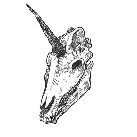 Unicorn Skull Tattoo Ideas Drawings, Unicorn Skull, Kunst Tattoos, Unicorn Tattoos, Animal Skull, Arte Sketchbook, Trendy Tattoos, Animal Skulls, Ink Illustrations