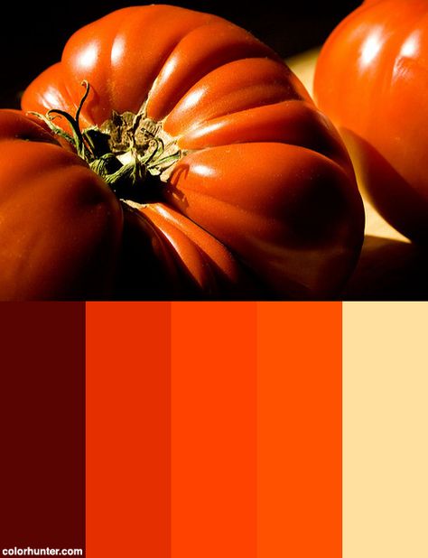 Tomatoes From The Garden Color Scheme from colorhunter.com Tomato Color Palette, Garden Color Scheme, Garden Color Palette, Tomato Color, Promotional Items, Colorful Garden, Color Stories, Color Scheme, Art Lessons