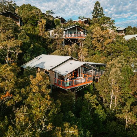 Updated: Congratulations to our grand prize winner, Danielle G. from Coolum Beach! 👏🏼 🎉 We are excited to announce that we've partnered with O'Reilly's Rainforest Retreat to give away an amazing Hinterland Getaway! Our lucky winner will receive a villa escape for two at their beautiful property in Lamington National Park! In addition to the grand prize, we're also giving away four Merlo Coffee Adventure Kits, worth $500 each. FOR YOUR CHANCE TO WIN purchase 1kg coffee or 60 pack of capsu... Forest House, Green Mountain, The Gold, Gold Coast, Fresh Air, The Locals, Places To See, National Parks, Villa