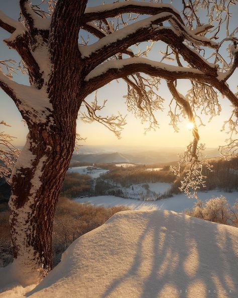 Piroska Pádár on Instagram: “Frosty golden hour ❄️🌞 -_-_-_-_-_-_-_-_-_-_-_-_- #hellomagyarorszag #ig_hungary #loves_hungary #visithungary #szeretlekmagyarorszag…” Golden Hour Photography, Photography Winter, City People, Winter Sun, Beautiful Nature Pictures, Winter Photography, Nature Pictures, Golden Hour, Hungary