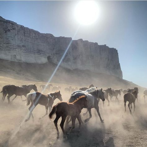 Farmer Aesthetic, Cabincore Aesthetic, Horses Aesthetic, Arte Indie, Into The West, Horse Aesthetic, Jolie Photo, Horse Girl, Wallpaper Ideas