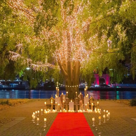 Whimsical Proposal Ideas, Proposal Under Tree, Light Proposal Ideas, Tangled Proposal, Indoor Proposal Ideas, Candlelit Proposal, Candlelight Proposal, Proposal Ideas Romantic, Engagement Setup