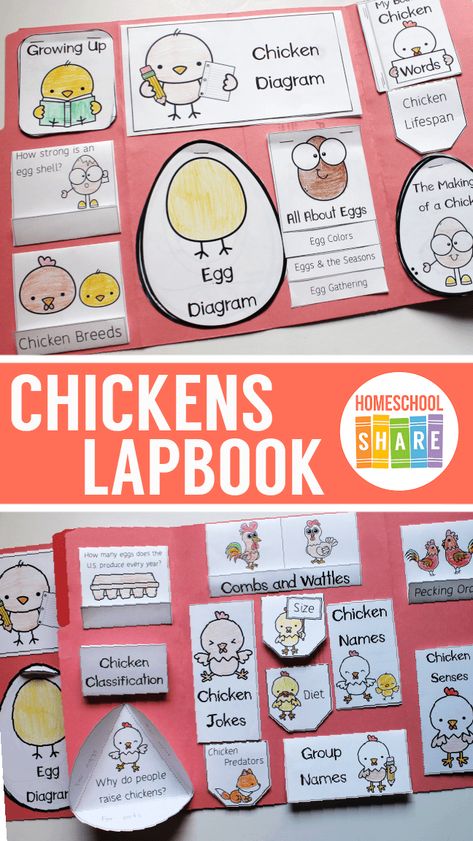 Free Chickens Lapbook - Homeschool Share Chicken Anatomy Drawing, 4h Poultry Project Ideas, Chicken Anatomy, Different Breeds Of Chickens, Chicken Coloring Pages, Chicken Jokes, Chicken Life Cycle, Chicken Poster, Chicken Diet