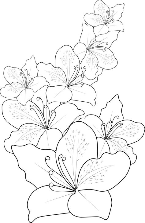 Azalea Tattoo Design, Azalea Illustration, Azalea Drawing, Azalea Flower Tattoo, Azaleas Flower, Painting Dupatta, Azalea Tattoo, Flower Tattoo Black And White, Floral Motifs Design