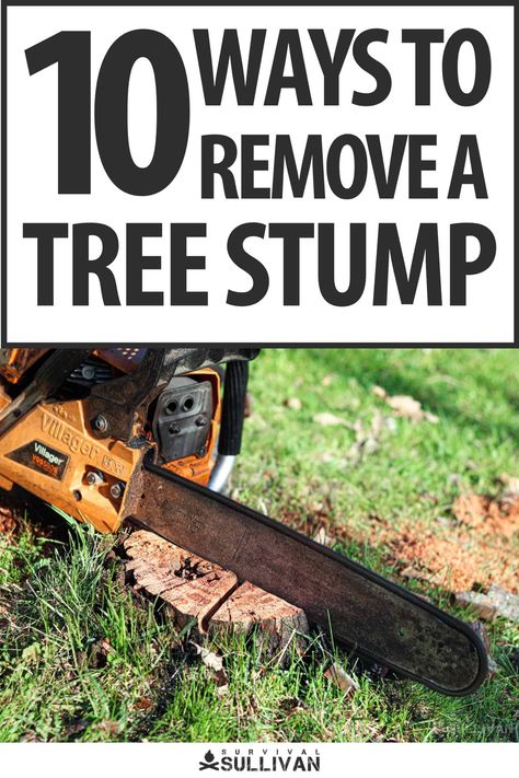 Tree Stumps Diy, Removing Tree Stumps, Diy Homesteading, Stump Removal, Tree Stumps, Old Tree, Emergency Prepping, Tree Stump, How Do I Get