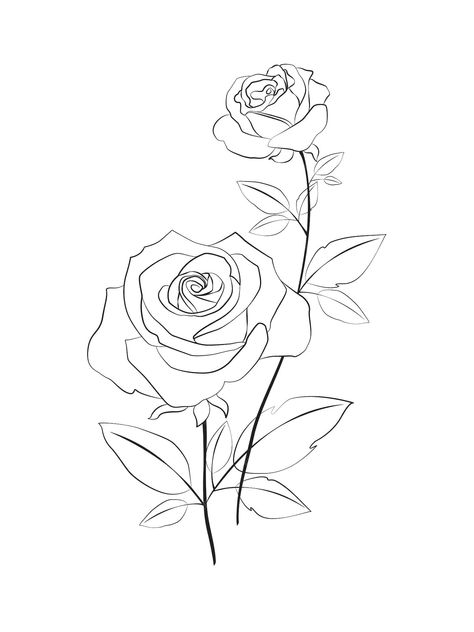 Premium Vector | Beautiful rose line art drawing on white background Rose Outline Drawing, Rose Doodle, Rose Drawing Simple, Rose Line Art, Rose Outline, Line Art Flowers, Ink Doodles, Flower Line Drawings, Line Art Drawing