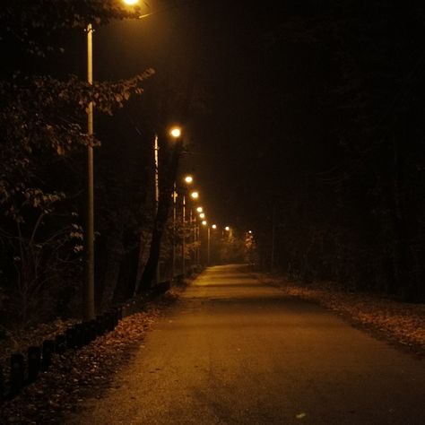 late night walk Late At Night Aesthetic, Late Nights Aesthetic, Magic Backyard, Night Walking Aesthetic, Silent Man, Ted Hughes, Night Walks, Night Walk, Robert Frost