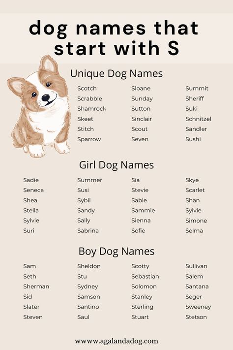 List of dog names that start with S. Name For Puppies, Puppy Names Female, Pet Names For Dogs, Small Dog Names, Cute Puppy Names, Cute Pet Names, Dog Names Unique, Boy Dog Names, Girl Dog Names