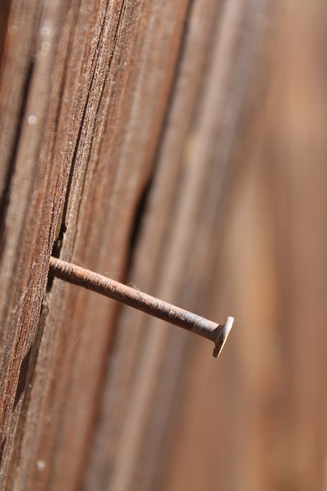 Rusty Nail, Nails, Photography