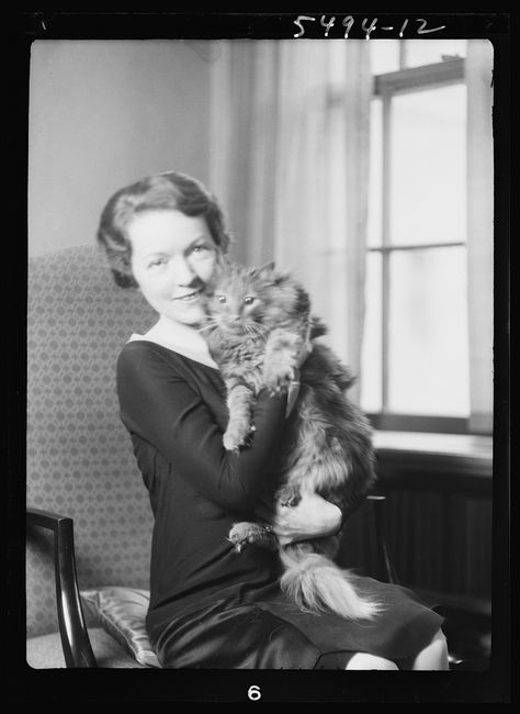 Schermerhorn, N.E., Mrs., with cat, portrait photograph | Library of Congress Mary Philbin, The Man Who Laughs, Angora Cats, Vintage Children Photos, Christine Daae, Photography Genres, Silent Film Stars, Bright Star, Cat Portrait