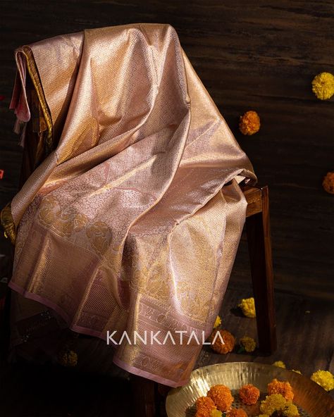 Silk Tissue Saree, Gold Silk Saree, South Indian Bride Saree, Kanjivaram Sarees Silk, Pink Contrast, Bridal Sarees South Indian, Tissue Saree, Gold Brocade, Indian Bridal Fashion