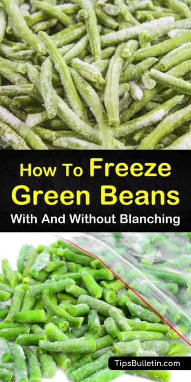 Green Beans Freezing, Freezing Green Beans Without Blanching, Freezing Vegetables From Garden, Freezing Fresh Green Beans, Freezing Green Beans, Freeze Veggies, Freeze Vegetables, Freezing Food Guide, Freeze Fruit