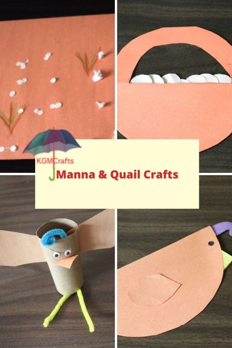 The manna and quail crafts are for the Bible story found in Exodus 16. Your Sunday school class will have fun making a picture, basket, and quails. Manna Quail Craft, Manna Quail And Water Craft, Quail Crafts For Preschool, Manna And Quail Activity, God Provides Manna And Quail Craft, Manna And Quail Craft, Manna And Quail Craft For Kids, Manna From Heaven Craft, Quail Craft