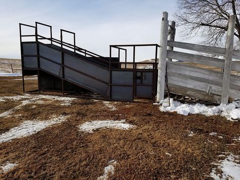 Many ranchers have ways to load cattle into a stock trailer, but if they send calves or cull cows on a cattle truck or semi they need a loading Cattle Gate, Cattle Pens, Cattle Facility, Cattle Corrals, Farm Gates, Barn Layout, Stock Trailer, Cattle Ranch, Farm Gate