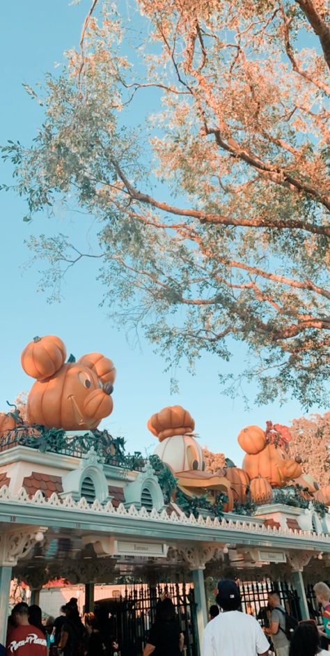 Disneyland In October Aesthetic, Disneyland In The Fall, Disney Fall Aesthetic Wallpaper, Disneyland Aesthetic Halloween, Disneyland Fall Aesthetic, Disneyland Halloween Wallpaper, Disney In Fall, Disneyland Aesthetic Pictures, Disney Fall Aesthetic