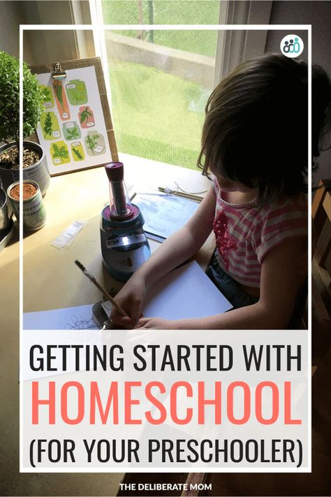 Are you planning your child's preschool year? Are you unsure of how to start? Here are loads of suggestions on how to set up a homeschool preschool program! #homeschoolpreschool Homeschooling Multiple Ages, Homeschool Daily Schedule, Prek Homeschool, Schedule Your Day, Preschool Homeschooling, Best Homeschool Curriculum, Start Homeschooling, Free Preschool Printables, Preschool Programs