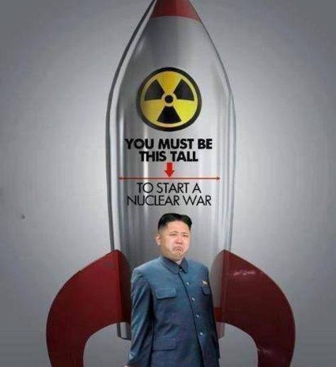 Bahaha! Kim Jung Un, Short People Problems, Funny Military, Uber Humor, Short People, Funny Captions, North Korea, Funny People, Bones Funny