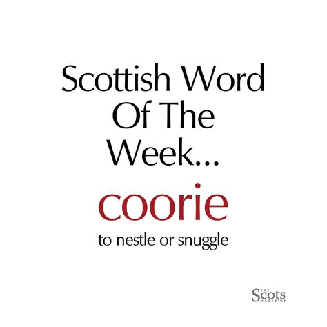 Coorie Scottish, Scottish Humor, Scottish Language, Scottish Words, Word Of The Week, English Transition Words, Foreign Words, Dictionary Words, Unique Words Definitions