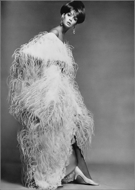 Jean Shrimpton in champagne froth of ostrich feathers on b… | Flickr 60’s Fashion, Model Jeans, Vintage Movie Stars, Jean Shrimpton, Jenny Lewis, Jeanne Lanvin, Fairy Artwork, Richard Avedon, Beautiful Cover