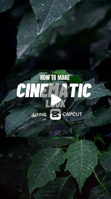 colour grading on Instagram: "How To Make a Cinematic Look Using Capcut🤩😍  @colour.grading_blog follow for more  @colour.grading_blog  @colour.grading_blog  . . . . TEMPERATURE: -17  COLOR: O  SATURATION:-9  BRIGHTNESS: -17  CONTRAST: +11  HIGHLIGHT: +19  SHADOW: +12  WHITES: -11  BLACKS:-8  ILLUMINATION: +17  FADE: +15 . . . #capcut #capcutedit #capcuttutorial #capcuttemplate #capcuteditor #cinematic #cinematiclook #cinematicmodeon #shotoniphone #videography #videogram #videoedits #videotips #editing #editingtips #editingtutorial #fyp #tutorial #colorgrading #colorcorrection #gameoftones #agameoftones #instamag #mobilevideography #tipsandtricks" Colour Grading Capcut, Capcut Colour Grading, Color Grading Capcut, Capcut Color Grading, Cinematic Color Grading, Color Grading Tutorial, Capcut Coloring, Colour Grading, Editing Tutorials