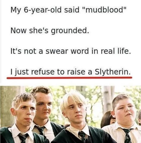 #Lol #Funny #Slytherin #HarryPotter Me As A Mom, Slytherin Funny, Harry Otter, Harry Potter Print, Funny Harry Potter Jokes, Harry Potter Feels, Harry Potter Puns, Harry Potter Pin, Draco Harry Potter